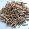 Desert Rose Plants with Fresh Adenium Seeds image
